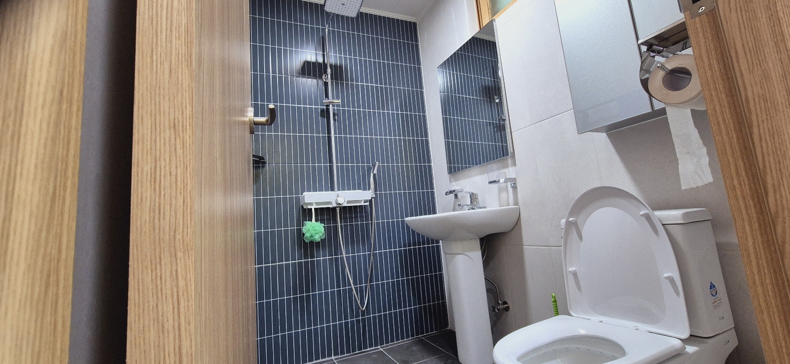 천왕봉실 화장실