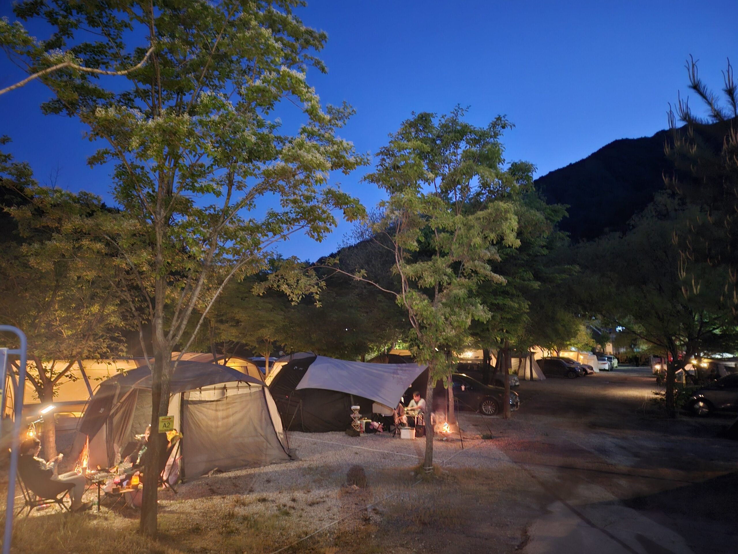 A01 사이트 사진 3