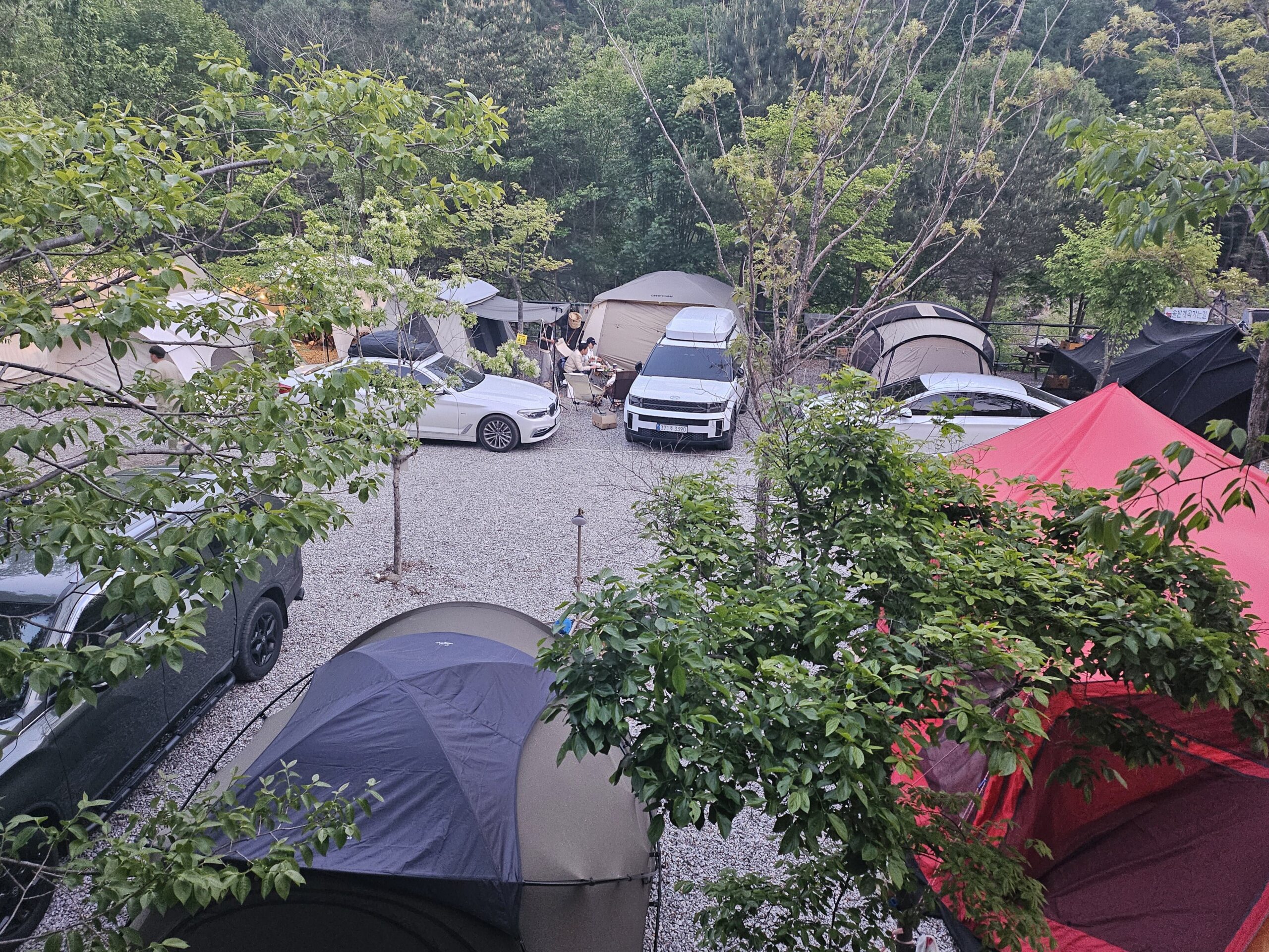 A01 사이트 사진 4